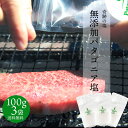 無添加 塩 ピュアソルト 奇跡の 天然塩 ! パタゴニア塩 100g ×3袋 中粒サイズ しお てんねんしお ぱたごにあしお ぴゅあそると 無添加 みつぼし醤油...
