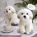 ぬいぐるみ ぬいぐるみシ ミュレーション マルチーズ 犬 マルタ子 犬ぬいぐるみ 人形 子供 男の子 おもちゃ ギフト 装飾工芸品 イヌ おもちゃ 抱き枕 クリ...