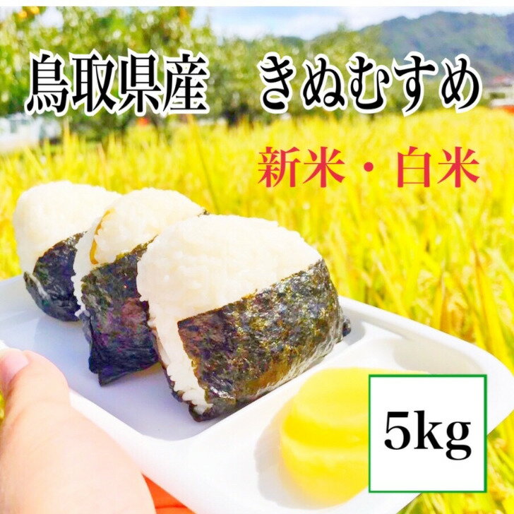 【新米・白米】2020 鳥取県産　きぬむすめ　白米5kg 【送料無料】お米/新米/鳥取県産/令和2年産