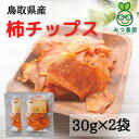 【鳥取県産　柿チップス40g×2袋】甘柿といえばこの柿！鳥取県産の富有柿を贅沢に使用しました。