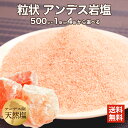 アンデス産 岩塩 紅塩 粒状 タイプ 500g 1袋・4袋から選べる 岩塩 食用 ミネラル ピンクソルト 送料無料 熱中症対策 ピンク岩塩 べに塩 調味料 バーベキュー BBQ ステーキ 肉 海鮮 天然 天然塩 無添加 しお