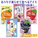 シャーベット アイス おやつ おうちで凍らせて食べるアイス 12袋(48本入)セット 送料無料 お取り寄せグルメ 買い回り ポイント消化 凍らせるアイス 凍らせ...