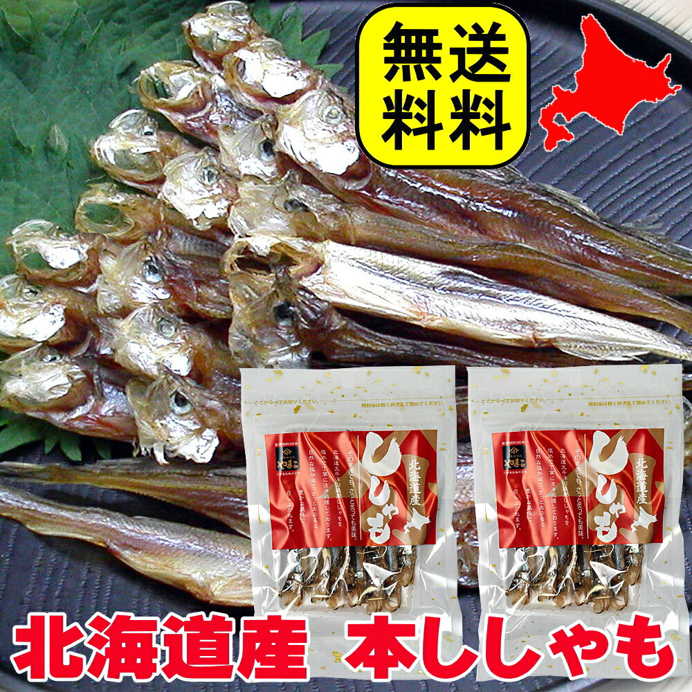 北海道産 ひもの 本ししゃも 2袋入り 22g×2 国産 つまみ 珍味 おつまみ 全国送料無料 メール便 買い回り 買いまわり ビール お酒のおとも 酒のつまみ 酒の肴 家飲み おつまみ 2〜3人用 干物 シシャモ お取り寄せグルメ