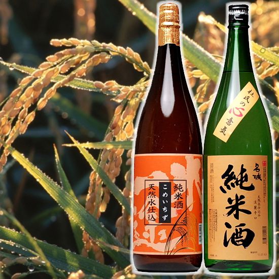 父の日ギフト 純米酒 セット 日本酒 激安!店長厳選、純米酒 一升瓶 1800ml×2本セット 飲み比べ のみくらべ お酒 純米酒 辛口 飲み比べセット 1.8L 無添加 父の日 日本酒 飲み比べセット 純米酒 セット お父さん 誕生日 プレゼント 父の日 お酒 日本酒 ギフト ミツワ酒販