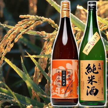 遅れてごめんね 父の日 純米酒 セット 日本酒 激安!店長厳選、純米酒 一升瓶 1800ml×2本 飲み比べセット のみくらべ お酒 辛口 1.8L 日本酒セット 結婚式 両親 父 男性 母 女性 ギフト プレゼント 寒中見舞い 家飲み 応援 コロナ 2〜3人用 父の日ギフト 父の日プレゼント