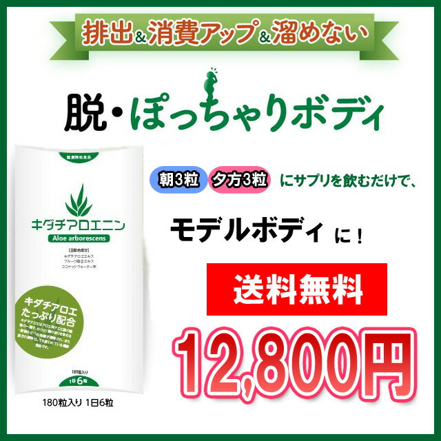 お腹にポッテリ溜まった不要物をスッキリ!つらい食事制限にSayGoodBye!！【送料無料】『キダチアロエ二ン』アロエ サプリ(太りにくい 脂肪 代謝 便秘解消 ダイエット サポート サプリメント 体質改善 美容)