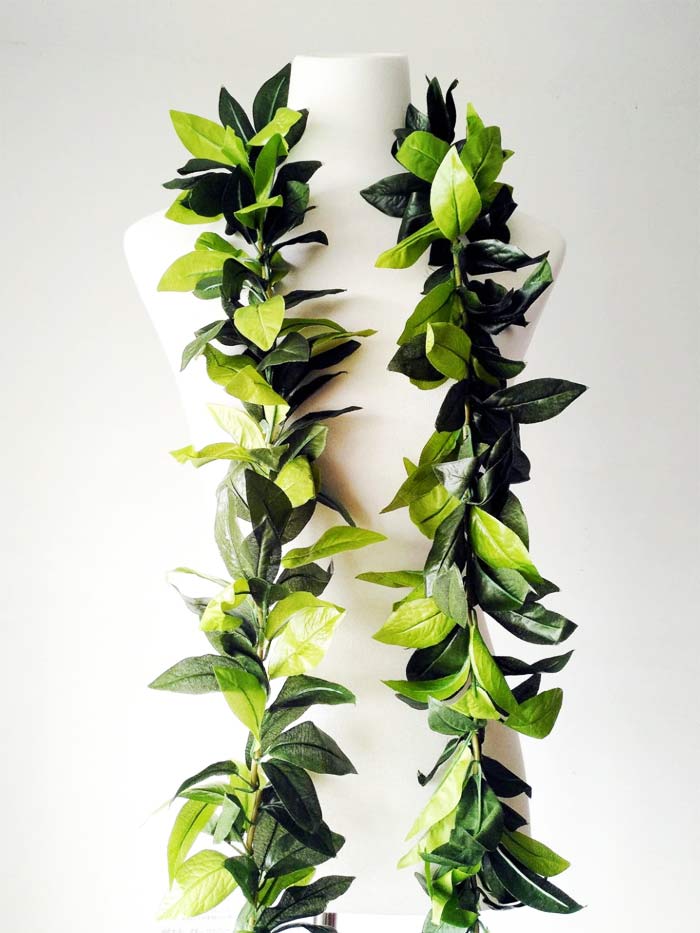 �ޥ��� �쥤 ���꡼�� �쥤 �ۥ��� �ե���� ���� �쥤 �ե� �쥤 �ե���� �ե�