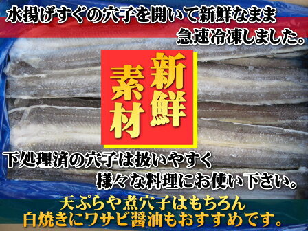 冷凍アナゴ開き2kg（Lサイズ5〜6枚位）【穴子・あなご】【北海道・本州・四国・九州は送料無料】【徳用】【数量限定】