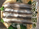 冷凍アナゴ開き2kg（Mサイズ8〜10枚