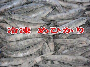 徳用バラ冷凍メヒカリ（1箱4kg：1尾あたり20-38g前後）【目光・めひかり】【北海道・本州・四国・九州は送料無料】【徳用】