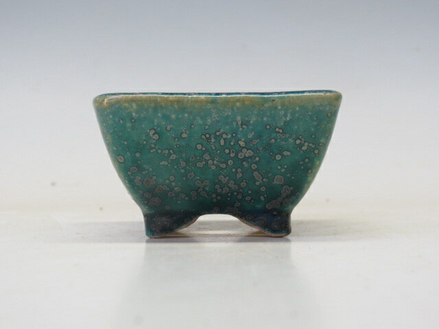 盆栽鉢鴻陽正方鉢M5盆栽専門店三浦培樹園