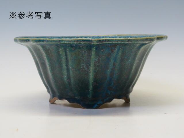 盆栽鉢 鴻陽 輪花鉢　64 【作家鉢 常滑焼　日本鉢　盆栽小鉢 人気商品 代引手数料無料】 盆栽専門店 三浦培樹園