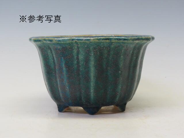 盆栽鉢 鴻陽 輪花鉢 　43 【作家鉢 常滑焼　日本鉢　盆栽小鉢 人気商品 代引手数料無料】 盆栽専門店 三浦培樹園のサムネイル