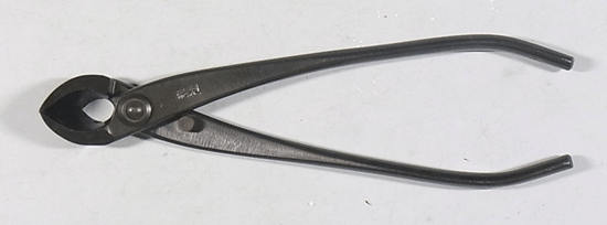 ߺѡڡʷ1A