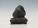 水石 貴般石 【水石 盆石 自然石 人気商品 送料・代引手数料無料】 盆栽専門店 三浦培樹園