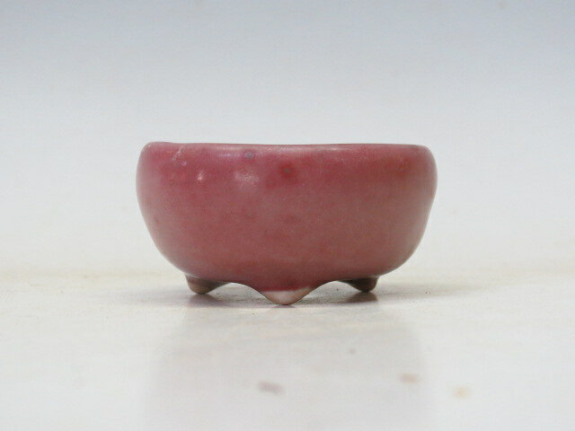 Glass Bowls - 盆栽鉢 町直 丸鉢 【作家鉢 盆栽小鉢 ギフト お買い得商品】 盆栽専門店 三浦培樹園