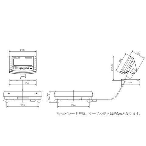 業務用高精度デジタル体重計 200kg DP-7800PW-200S セパレートタイプ 検定品 大和製衡