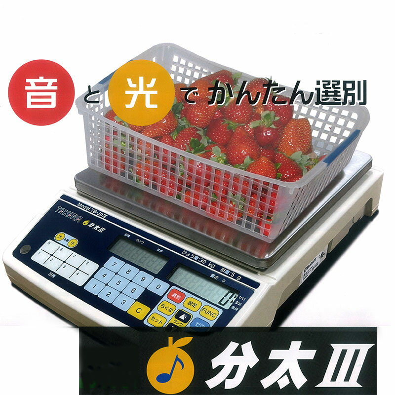 �ڿ����ʡ۲������������̵���ʬ��3��30kg TB-30-3 ���׵������