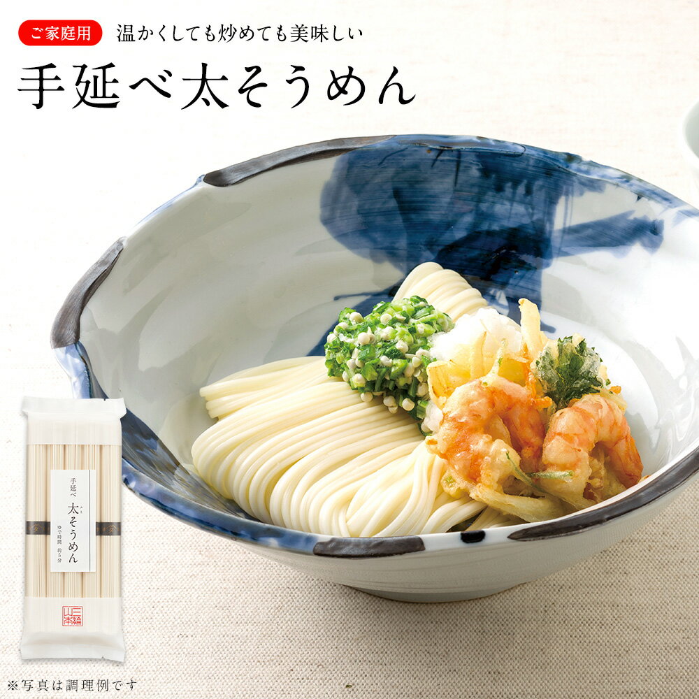 手延べ 太そうめん │ そうめん にゅうめん 三輪山本 家庭用 A-93 太 素麺 冬【のし・包装不可】のサムネイル