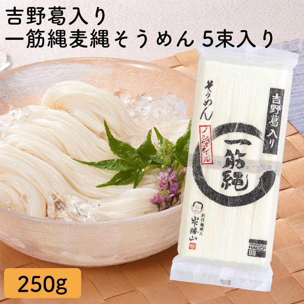 YA-5 一筋縄麦縄そうめん5束入(2〜3人