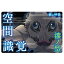 送料無料 鬼滅の刃 ウエハース3 020 獣の呼吸 漆ノ型 空間識覚 技カード 嘴平伊之助 単品 はしびら いのすけ 食玩 アニメ キャラ バンダイ きめつ トレカ グッズ 毀滅 柱 ストラップ カプセル 誕プレ レア フィギュア ご当地 380円