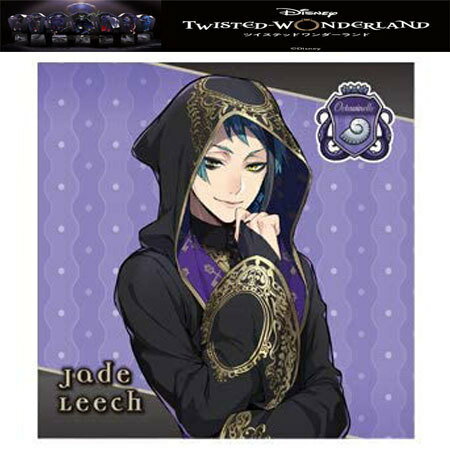 送料無料 ディズニー ツイステッドワンダーランド グルーヴィーキャンディグミ シール オクタヴィネル寮 ジェイド・リーチ No.10 単品 ツイステ Jade Leech BANDAI バンダイ 食玩 グミ レア ガチャ ゲーム ファン ウエハース インスパイア スマホゲーム
