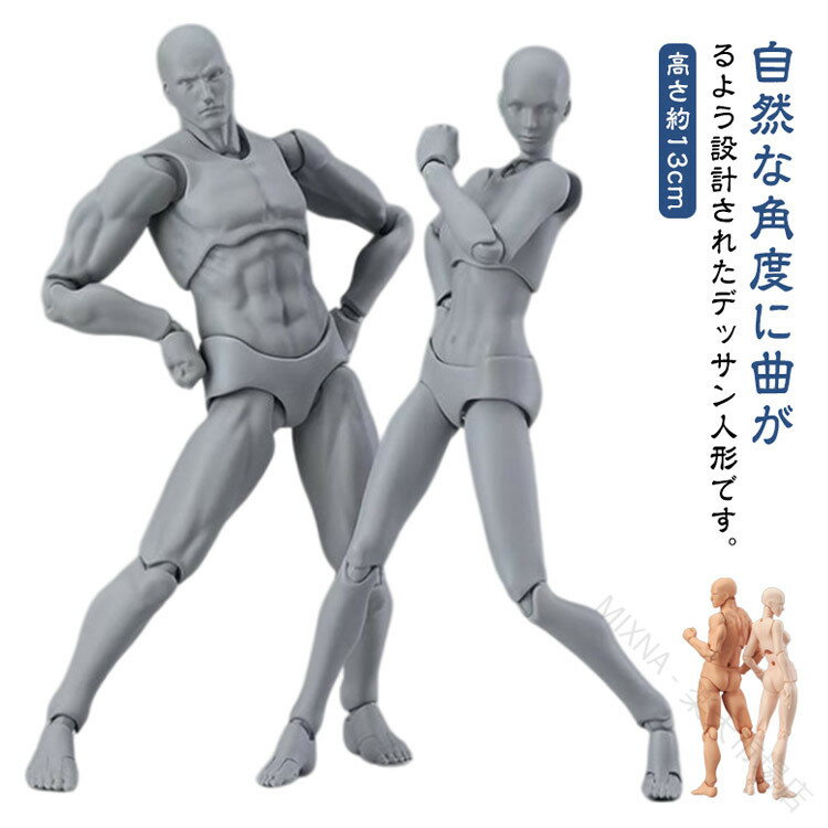 Rakuten - デッサンモデル 漫画 モデル人形 デッサン人形 デッサン 女 デッサンドール フィギュア キャラクター 作画 イラスト ドールタイプ 練習 スタンド付き 模型 小道具 画材練習用 デッサン人形 男性 女性 肌色