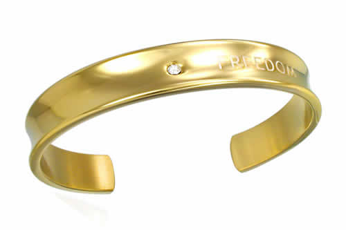 ゴールドフリーダム バングル アームレット 腕輪 サージカルステンレス316L メンズ レディース 腕輪 手首 アクセサリー 二の腕 フリーサイズ 腕 ブレスレ...