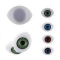 11mmx15mm目玉アクリルパーツ/1個販売アイ眼眼球ブルーグリーンパープルグレー人形ぬいぐるみ面白いアクセサリーピアスパーツプラスティック貼り付けチャームネイルデコレーション爪スマホデコ電部品ハンドメイド手作り材料フラット平ら