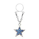 ブルーサファイアスター ニップルクリップ 1個販売 星 水色 青色 クリスタル ジルコニア 可愛い プレゼント メンズ レディース 乳首 はさむ ノンホールピア...