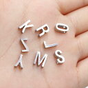 1.8mm穴開きアルファベットステンレスパーツ 1個販売 英語 イニシャル メッセージ 文字 ペンダント トップ ネックレス ピアス ブレスレット アクセサリー...