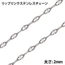 2mm リップリンク ステンレスチェーン/10cm単位 手作り DIY ネックレス ブレスレット アンクレット ステンレスパーツ ボディチェーン チョーカー メ...