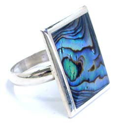 �ץ졼�� ����С����(�֥�å��ȥ�����) ������/26��/30�� ��������󥰥���С� ����С�925 ���� ��� ��� ��ǥ����� ���� ���� �ץ쥼��...