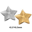 ステンレス製 DIY穴あきチャーム (スターライト)1個 金色 ゴールド 銀色 シルバー 星 丸穴 穴開き クラフト 部品 金具 製作 ペンダント トップ パー...