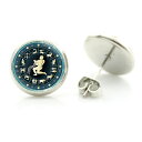14mm カボションピアス (星座:みずがめ座) 1ペア 水がめ座 水瓶座 ミズガメ座 両耳 星占い 占星術 占い師 人気 丸型 丸い カボーション 20G 2...