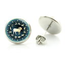 14mm カボションピアス (星座:おひつじ座) 1ペア 牡羊座 お羊座 オヒツジ座 両耳 星占い 占星術 占い師 人気 丸型 丸い カボーション 20G 20...