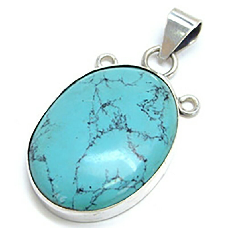 [ŷ С925] ڥȥȥå62 1 ꥸʥ  ǥ ץ쥼 ե ѥȡ    ...