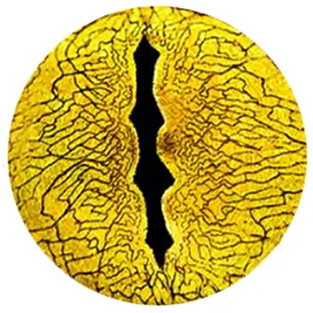 アリゲーターアイカボーションガラスパーツ 12mm 16mm 18mm 20mm 25mm 30mm アクセサリー ピアス イヤリング ネイル デコレーション ...