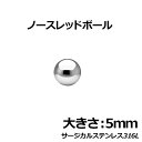 楽天ピアス専門ショップGreen Piercingノースレッドボール：5mm サージカルステンレス316L ステンレス玉 真球 ネジ山も窪みも凹みもない球体 ボディピアス パーツ 埋め込み インプラント ビーディング 女性 男性 ボディーピアス ピアッシング 皮膚 おしゃれ 肌 ステンレス球 彼氏 大人 スタイル 5.0mm 5ミリ