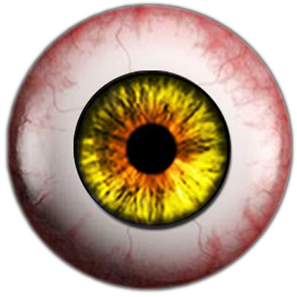 リアル グラスアイ ドールアイカボーションガラスパーツ 8mm 10mm 12mm 20mm 25mm アクセサリー ピアス デコレーション クラフト DIY ...