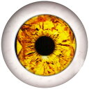 リアル グラスアイ ドールアイカボーションガラスパーツ 8mm 10mm 12mm 20mm 25mm アクセサリー ピアス デコレーション クラフト DIY ...