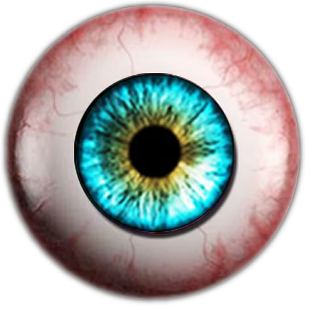 リアル グラスアイ ドールアイカボーションガラスパーツ 8mm 10mm 12mm 20mm 25mm アクセサリー ピアス デコレーション クラフト DIY ...