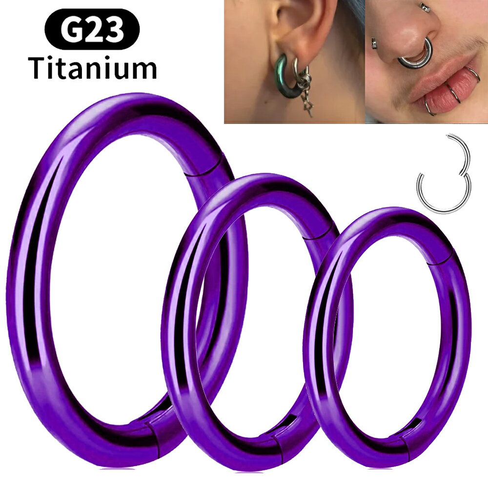 Ring - [12G 10G 8G 6G 4G アナダイズド チタングレード23 ] ダークパープル チタンクリッカーセグメント ボディピアス 1個販売 発色 紫色 12ゲージ 10ゲージ 8ゲージ 6ゲージ 4ゲージ耳 鼻 乳首 セプタム メンズ レディース 軟骨 ヘリックス シームレス ボディーピアス リング型