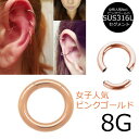 ピンクゴールドセグメントリング 8ゲージ 8G 8g ボディピアス サージカルステンレス316L メンズ レディース 女子人気 ピンクゴールド スムーズセグメン...