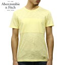 アバクロ Tシャツ 正規品 Abercrombie＆