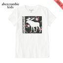 アバクロキッズ Tシャツ 子供服 正規品 AbercrombieKids 半袖Tシャツ exploded icon tee 257-0891-0108-001