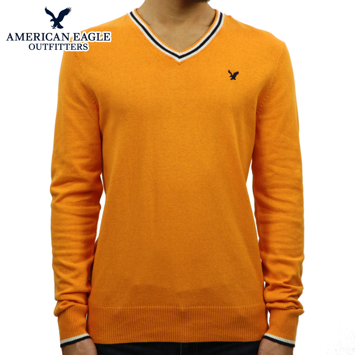 アメリカンイーグル セーター メンズ 正規品 AMERICAN EAGLE Vネックセーター AE TIPPED V-NECK SWEATER 1144 父の日 プレゼント ラッピング