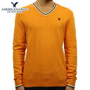 アメリカンイーグル セーター メンズ 正規品 AMERICAN EAGLE Vネックセーター AE TIPPED V-NECK SWEATER 1144