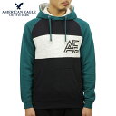 アメリカンイーグル パーカー メンズ 正規品 AMERICAN EAGLE プルオーバーパーカー AE COLORBLOCK THROWBACK COTTON SWEATSHIRT 0193-9818-395