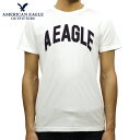 AJC[O AMERICAN EAGLE Ki Y N[lbN STVc AE Graphic Tee 0181-3806-100